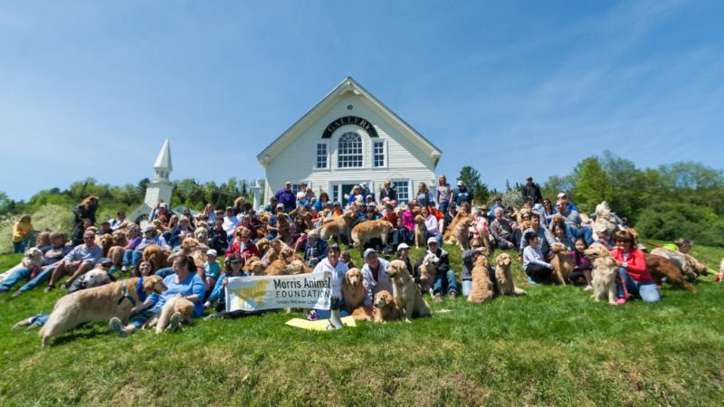 Golden Jubilee event on Dog Mountain