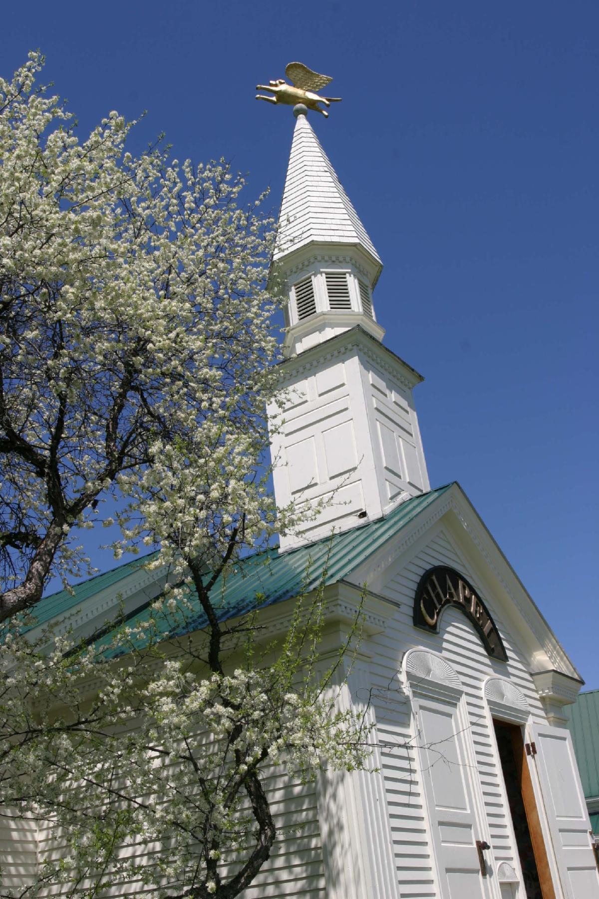 Dog Chapel