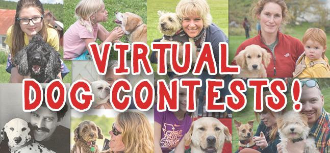 Virtual Dog Contests