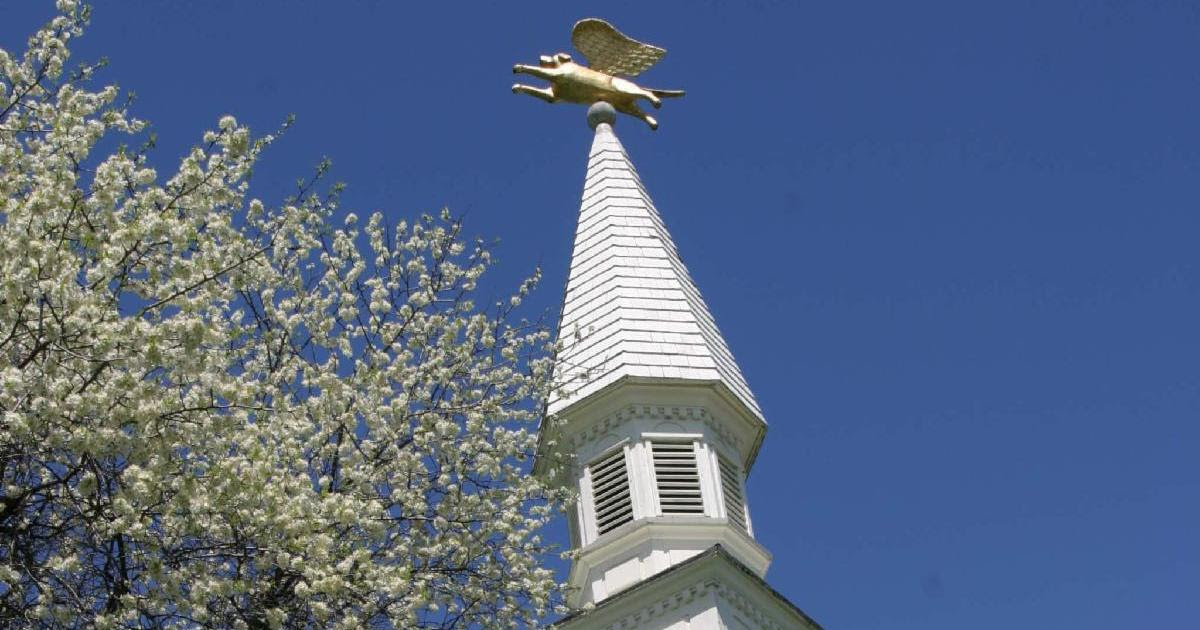 Angel Dog Steeple