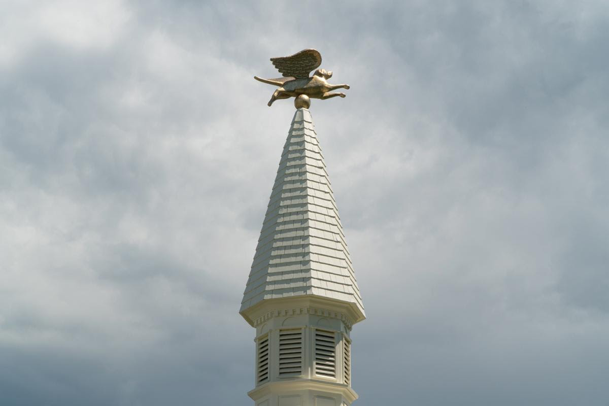 Angel Dog Steeple