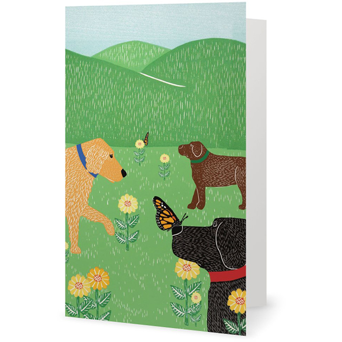 Flowers & Butterflies Card