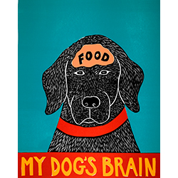 Brain food for dogs outlet