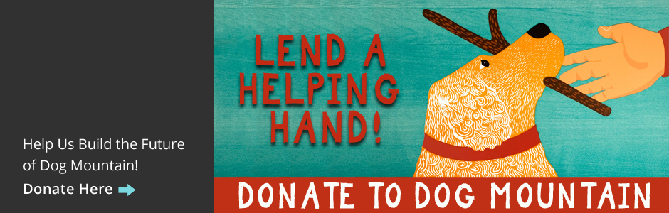 Donate to help save Dog Mountain