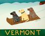 Vermont Sled Dogs