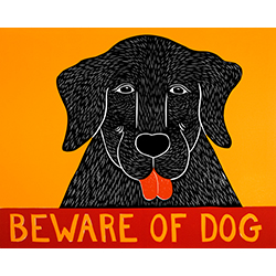 Basic Black Clear Window Cling 16x16 5-Pack CGSignLab Beware of Dog Basic Black Clear Window Cling 16x16 5-Pack CGSignLab Beware of Dog