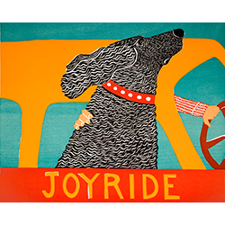 Joyride - Giclee Print