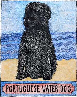 Water Dog - Crayon Giclee