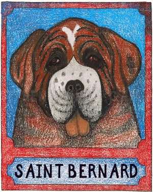 St. Bernard - Crayon Giclee