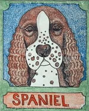 Spaniel - Crayon Giclee