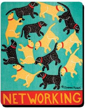 Networking Mousepad