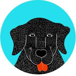 Sally Sticker - 5-Pack