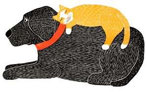 Catnap - Sticker Decal