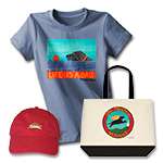 Apparel