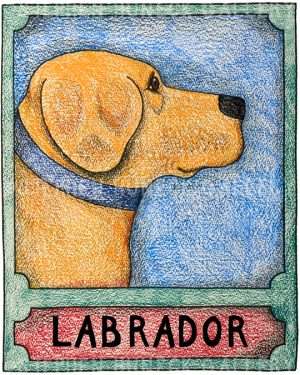 Yellow Lab - Crayon Giclee
