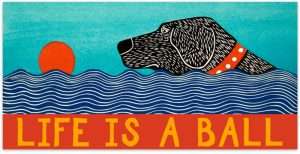 Life is a Ball - Bumper Sticker Magnet