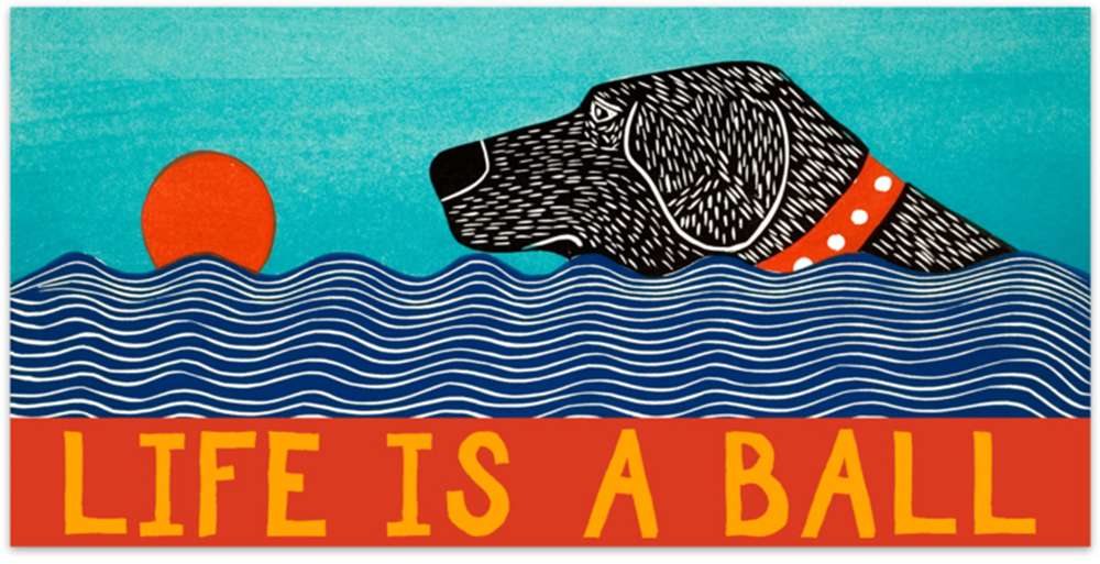 Life is a Ball - Bumper Sticker Magnet