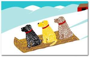 Sled Dogs - Mat