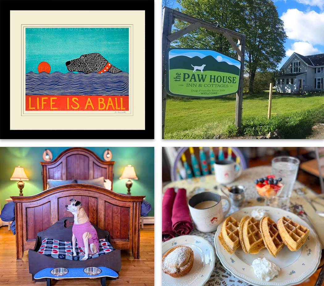 Win an Amazing Prize Package!