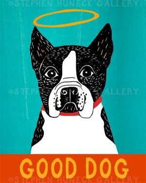 Good Dog-Boston Terrier - Giclee Print