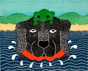 Frog - Giclee Print