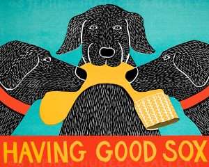 Having Good Sox - Giclee Print