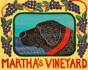 Martha's Vineyard Grapes - Giclee Print