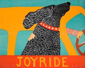 Joyride - Giclee Print