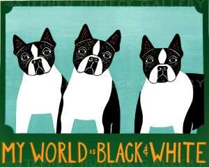 My World is Black & White - Giclee Print