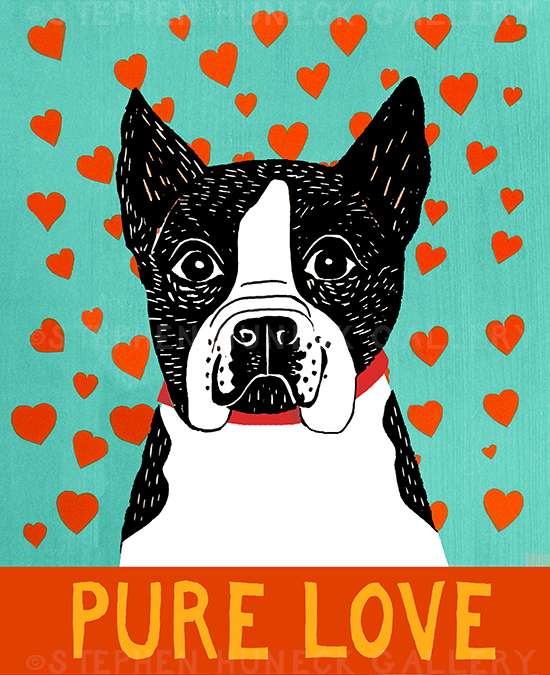 Pure Love-Boston Terrier - Giclee Print