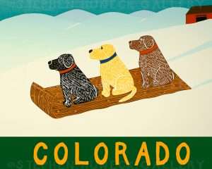 Sled Dogs-Colorado - Giclee Print