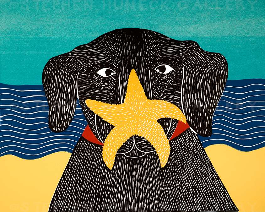 Starfish - Original Woodcut