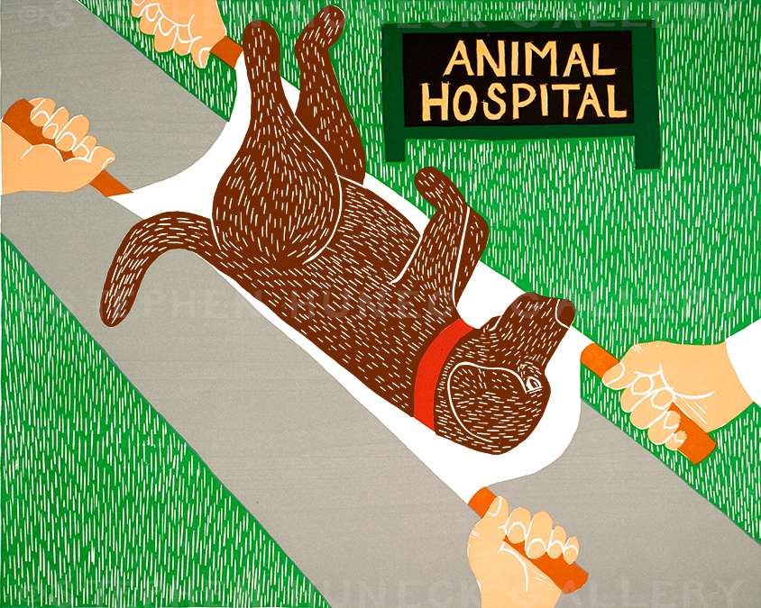 Animal Hospital - Giclee Print