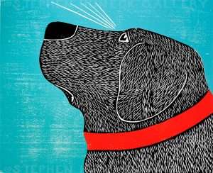 Animal Magnetism - Giclee Print