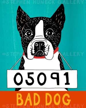 Bad Dog-Boston Terrier - Giclee Print