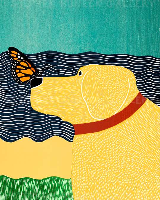 Butterfly - Giclee Print