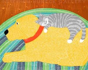 Catnap - Giclee Print