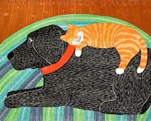 Catnap - Giclee Print
