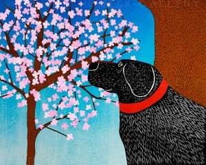 Cherry Blossom - Giclee Print