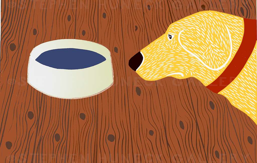 Water Bowl-Good Dog - Giclee Print