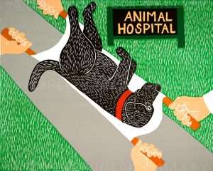 Animal Hospital - Giclee Print