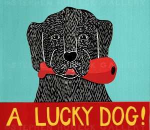 A Lucky Dog - Giclee Print