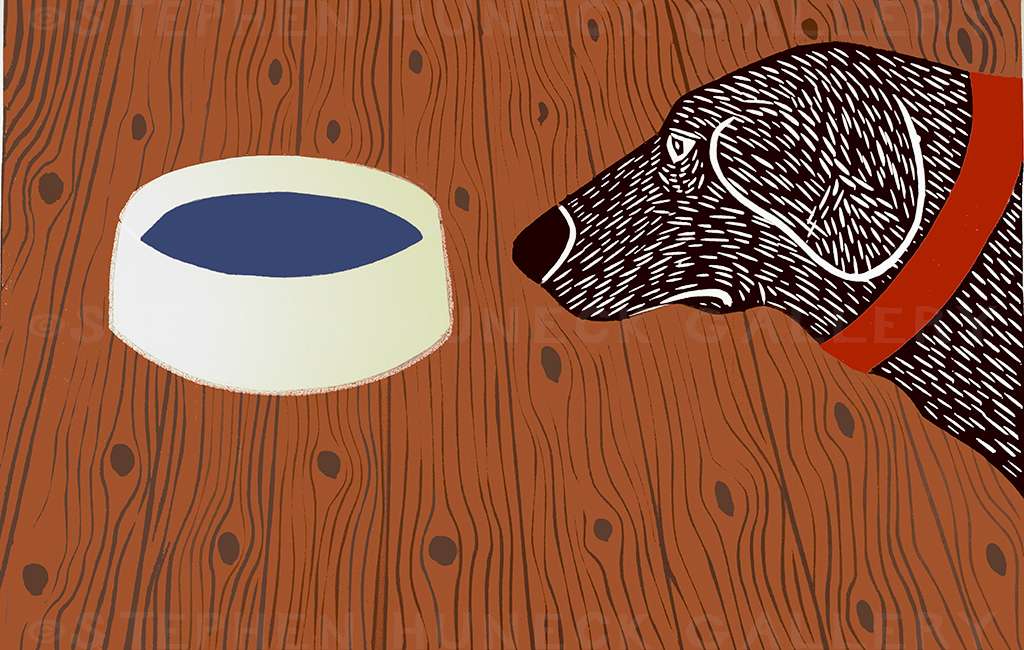 Water Bowl-Good Dog - Giclee Print