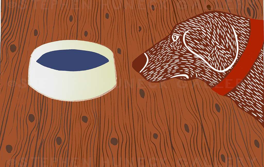 Water Bowl-Good Dog - Giclee Print