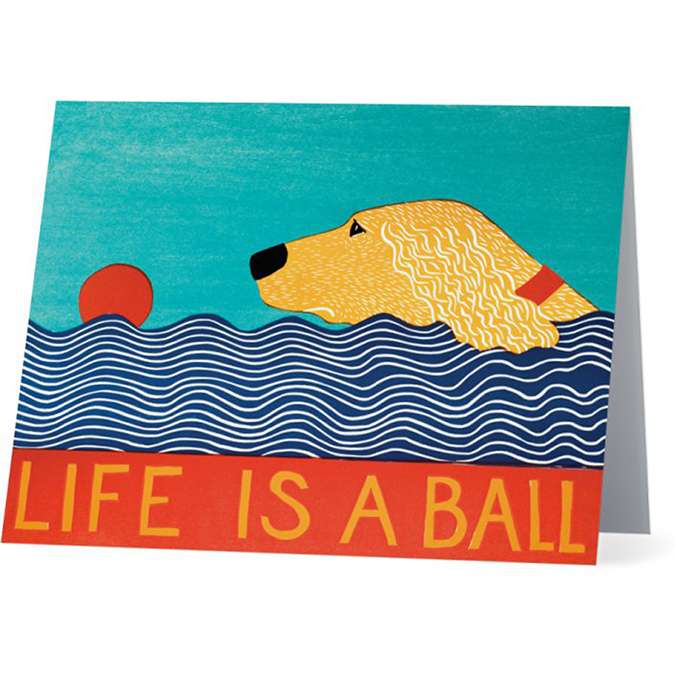 Golden Retriever - Assorted Card Set