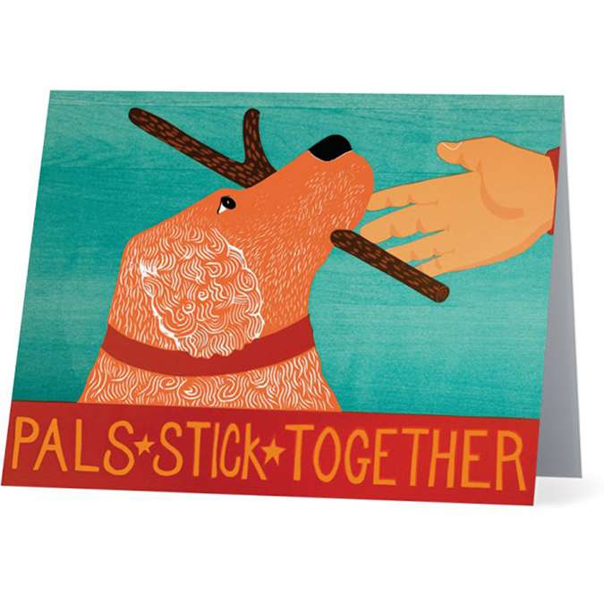 Golden Retriever - Assorted Card Set