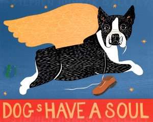 Dogs Have a Soul-Boston Terrier - Giclee Print