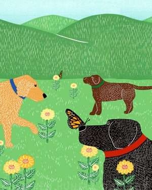 Flowers and Butterflies - Giclee Print