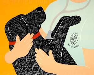 Going to the Vet - Customizable Giclee