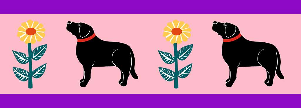 Flower Power - Pet Collar